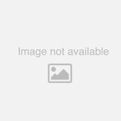 Bright Office Metal Wire Binding Machine 25 Sheets - 8669